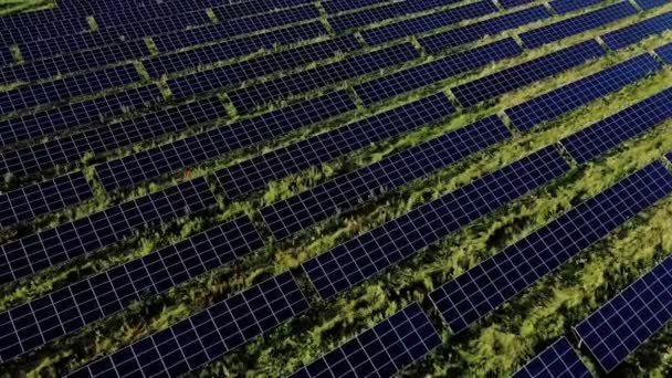 Bovenaanzicht Van Een Enorme Fotovoltaïsche Centrale Een Veld Bij Zonsondergang — Stockvideo