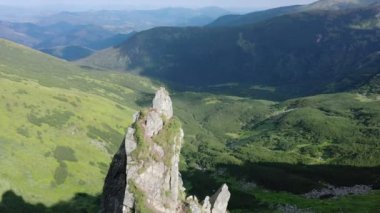 Karpatya dağlarındaki Spitz dağının kayalık zirvesi, yaz dağlarının manzarası.