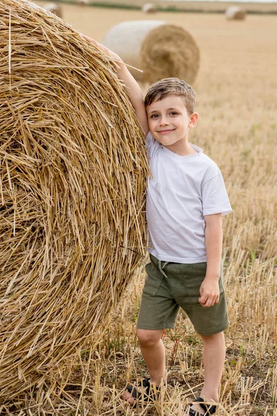 Cute Little Boy White Shirt Khaki Shorts Standing Bales Hay — Zdjęcie stockowe