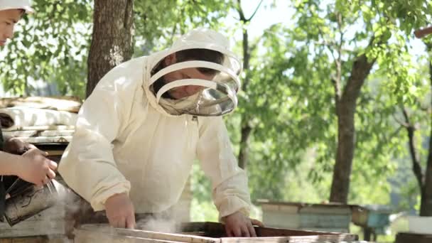 Тщательный Пчеловод Удаляет Соты Пчелами Осмотра Опытный Пчеловод Концепция Пчеловодства — стоковое видео