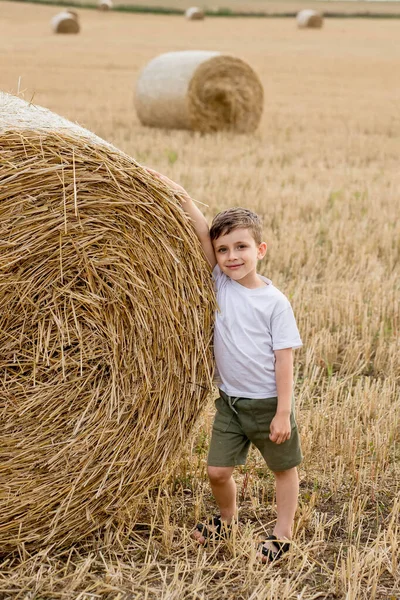 Cute Little Boy White Shirt Khaki Shorts Standing Bales Hay — Foto Stock