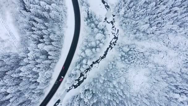 Vista Aérea Estrada Inverno Pinheiros Cobertos Neve — Vídeo de Stock