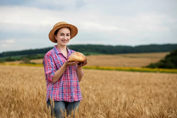 Woman Farmer Holds Organic Grain Bread Her Hands Background Wheat — Foto de Stock