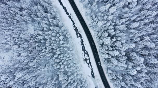 Vista Aérea Carretera Invierno Pinos Cubiertos Nieve — Vídeos de Stock