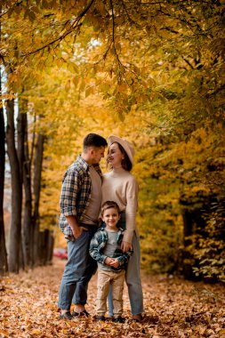 Autumn Park 'ın arka planında mutlu genç bir ailenin portresi. Anne, baba ve oğul gülümsüyor. Aile sonbahar fotoğraf çekimi.