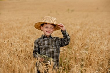 A smiling little farmer boy in a plaid shirt and straw hat poses for a photo in a wheat field. Heir of farmers.