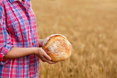 A female farmer in a straw hat and checkered shirt holds fragrant bread in her hands on a ripe wheat field. The smell of freshly baked bread.