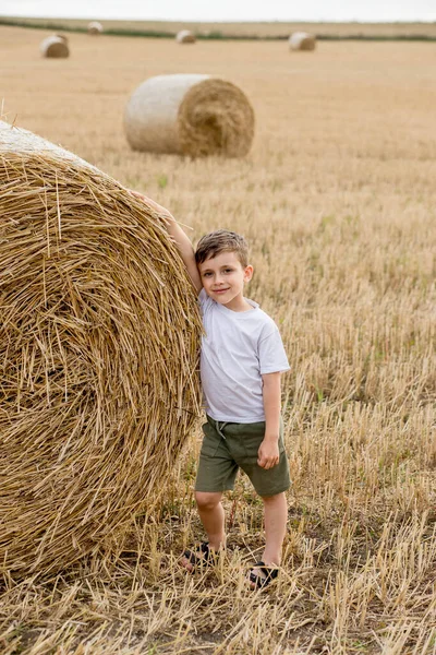 Beyaz tişörtlü ve haki şortlu şirin bir çocuk saman balyalarının yanında duruyor. Sahadaki fotoğraf oturumu.