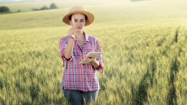 Giovane Fcrmer Controlla Campo Grano Invia Dati Alla Nuvola Tablet — Video Stock