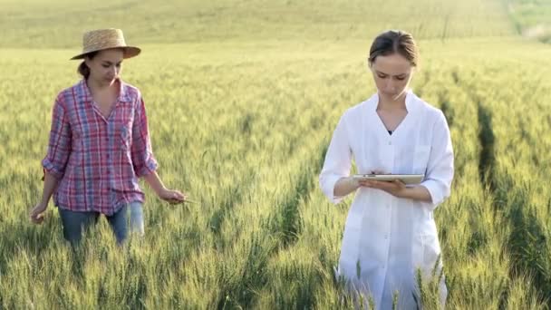 Молодая Лаборантка Белом Халате Женщина Фермер Проверяет Состояние Урожая Планшете — стоковое видео