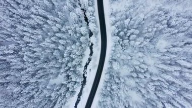 Kış yolu ve karla kaplı çam ağaçlarının havadan görünüşü.