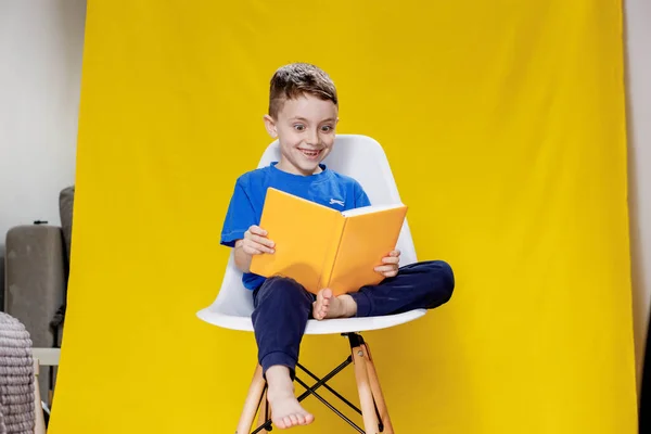 Positive Preschool Boy Aspen Shirt Holding Open Yellow Textbook Looking — Stockfoto