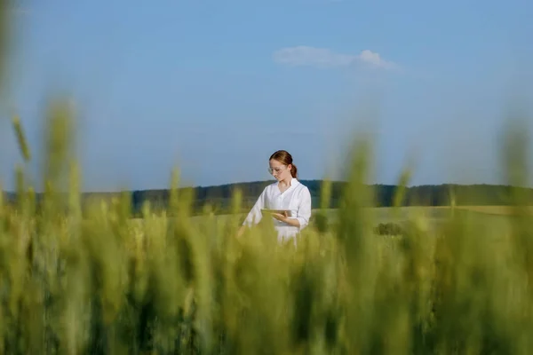 Laboratory Technician Using Digital Tablet Computer Cultivated Wheat Field Application — Stockfoto