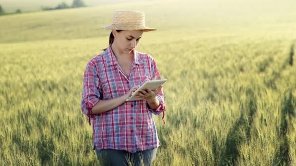 Young Fcrmer Checks Grain Field Sends Data Cloud Tablet Concept — Stok video