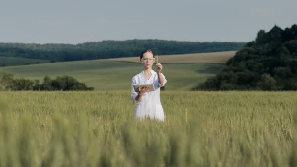 Technicien Laboratoire Utilisant Ordinateur Tablette Numérique Dans Champ Blé Cultivé — Video