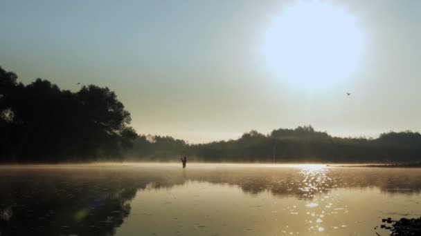 Fisherman Pulling Fish River Foggy Summer Morning Fishing Spinning — Stock videók