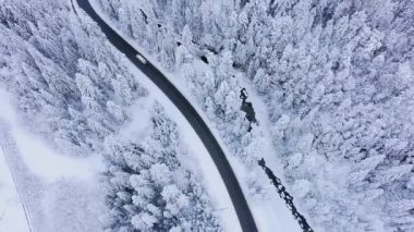 Karlı ormandaki kış ülke yolda bir araba üzerinde havadan görünümü