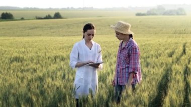 A farmer and a laboratory technician shaking hands in a wheat field. Agriculture. Agribusiness. Successful deal. A farmer and a laboratory technician in a wheat field enter into a contract.