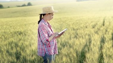 A young fcrmer checks a grain field and sends data to the cloud from a tablet. Concept of smart farming and digital agriculture. Successful production and cultivation of organic food products.