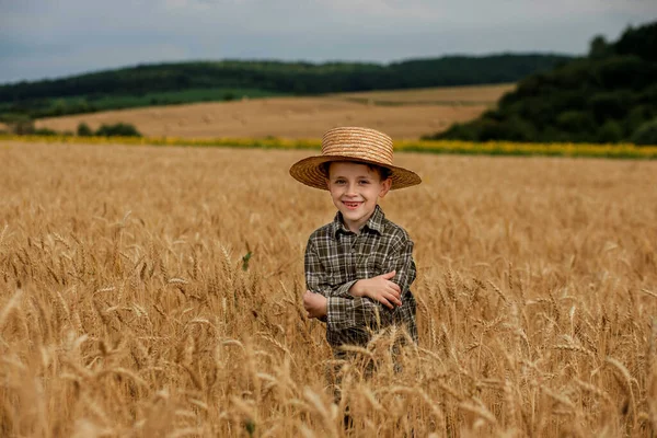 Smiling Little Farmer Boy Plaid Shirt Straw Hat Poses Photo — 스톡 사진