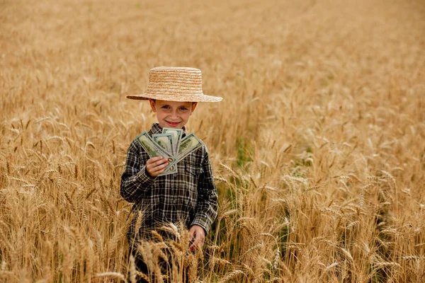 Little Boy Holding Dollars Field Ripe Ears Corn Profit Agriculture — Zdjęcie stockowe
