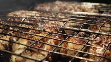 Outdoor barbecue picnic cooking process, grilling and grilling juicy meat steaks with burning fire and smoke on barbecue grill, burning coals. Barbecue grill concept