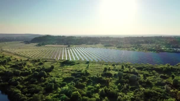 Widok Lotu Ptaka Słoneczną Elektrownię Zielonym Polu Słoneczny Dzień Dron — Wideo stockowe