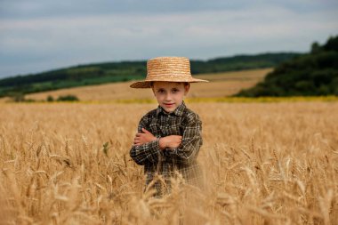 A smiling little farmer boy in a plaid shirt and straw hat poses for a photo in a wheat field. Heir of farmers.