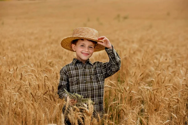 Smiling Little Farmer Boy Plaid Shirt Straw Hat Poses Photo — Zdjęcie stockowe