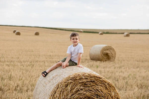 Cute Little Boy White Shirt Khaki Shorts Sitining Bales Hay — стоковое фото