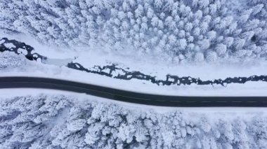 Karlı ormandaki kış ülke yolda bir araba üzerinde havadan görünümü.