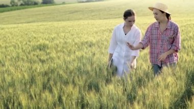 Young female lab technician in white coat and female farmer checking harvest progress on tablet in green wheat field. A new crop of wheat is growing. Agriculture and farm concept.