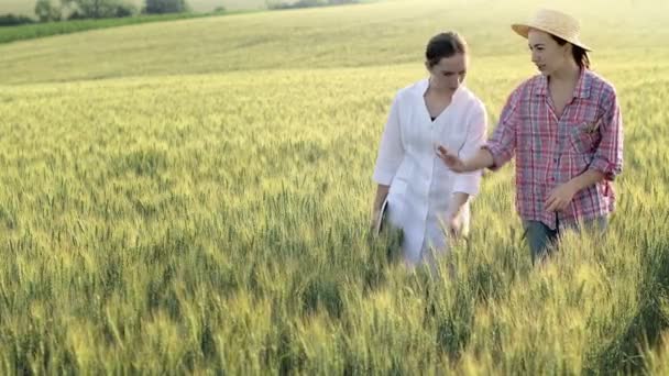 Young Female Lab Technician White Coat Female Farmer Checking Harvest — Stockvideo