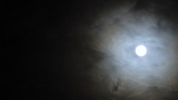 Луна Черном Ночном Небе Плывущие Облака Полнолуние — стоковое видео