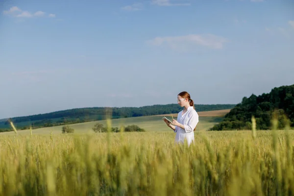 身穿白衣 长满未成熟玉米穗的绿色田野中的女性环保科学家 并在平板设备上记录数据 在实地行走的女研究员 生物学家 — 图库照片