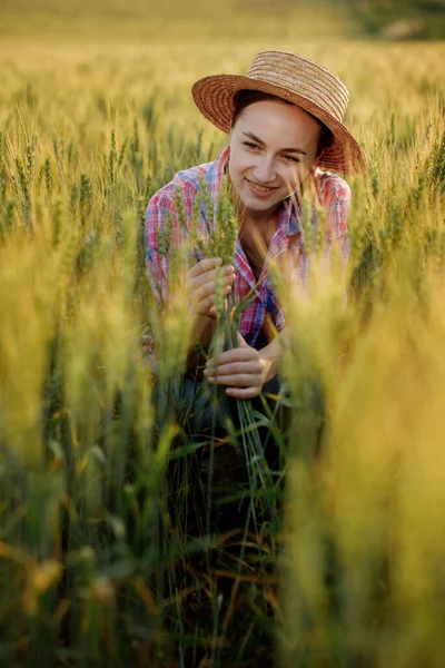 Молодий Фермер Картатій Сорочці Сидить Вухах Пшениці Радіє Врожаю — стокове фото