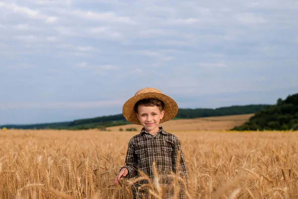 Smiling Little Farmer Boy Plaid Shirt Straw Hat Poses Photo — Foto de Stock