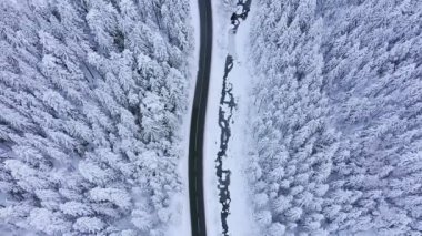 Karlı ormandaki kış ülke yolda bir araba üzerinde havadan görünümü