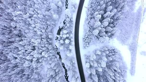 Luchtfoto Een Auto Rijden Winter Landweg Het Besneeuwde Forest — Stockvideo