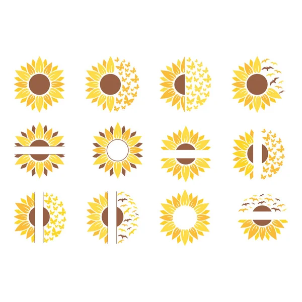 Set Von Gelben Sonnenblumen Vektor Illustration Design — Stockvektor