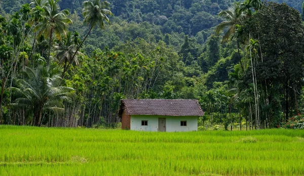 在印度西部森林地区的森林基金中 仅有的农场住房就被征用了 — 图库照片