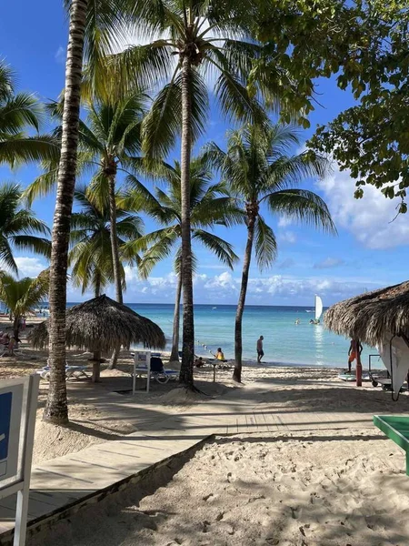 Vacker Tropisk Strand Med Palmer Och Blå Sand Maldiverna Semester — Stockfoto