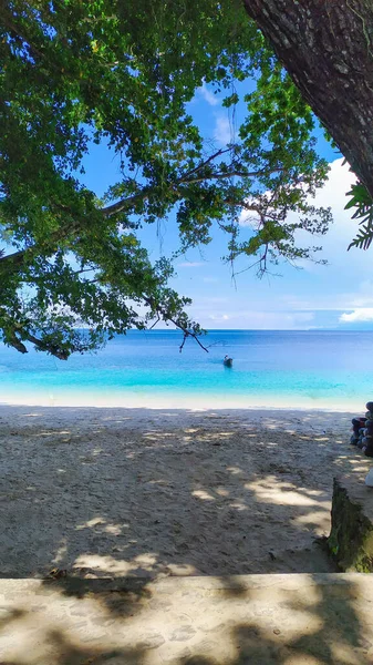 Prachtig Uitzicht Hemel Combinatie Met Elegant Strand Bomen — Stockfoto