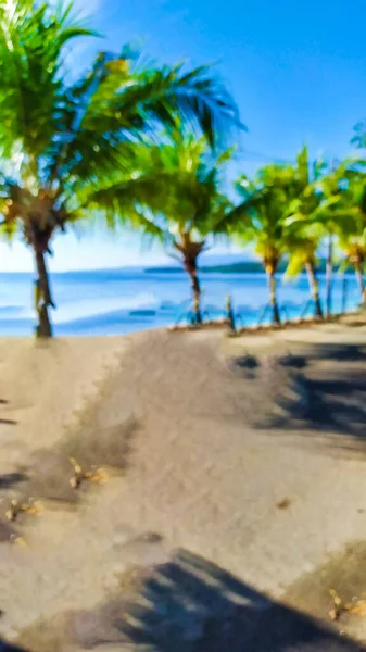 Defocus plajı ve Palm tress arka planı