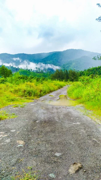 Papua 'daki güzel yeşil dağlara giden yol 