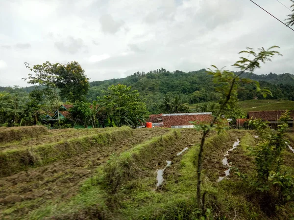 The view of the plowing of the terraced rice fields