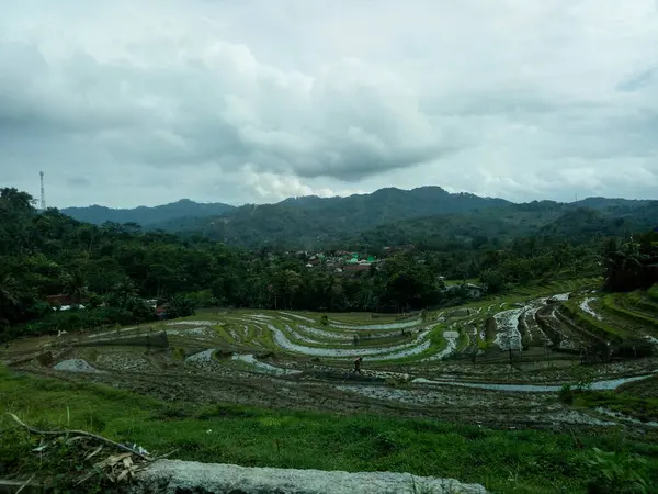 Beautiful mountain view with terraced rice fields