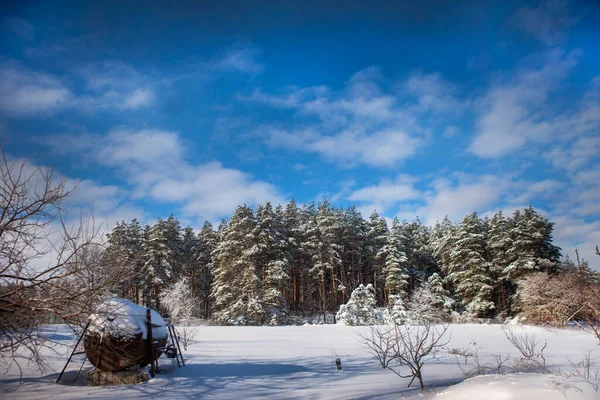Солнечный День Зимой Частном Участке Рядом Лесом — стоковое фото