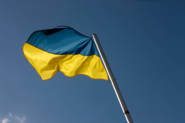 Mavi gökyüzüne karşı Ukrayna bayrağı sallayarak.