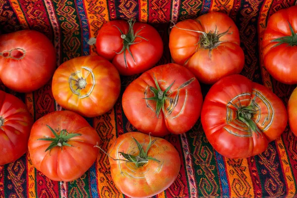 Frische Rote Tomaten Lebensmittelladen Für Lebensmittel Background Konzept — Stockfoto